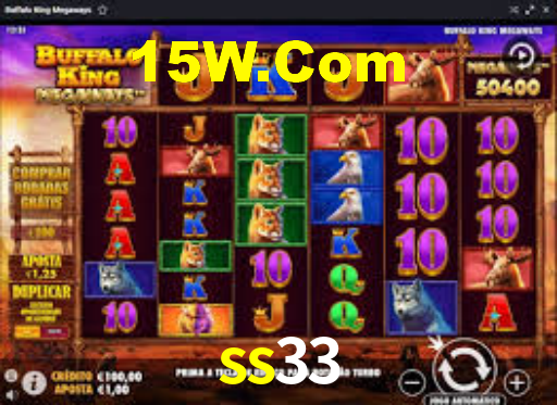 Interface Premium ss33
